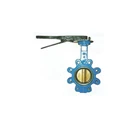 Marine Lugged Type Butterfly Valve Size 8 Inch Cast Iron 1